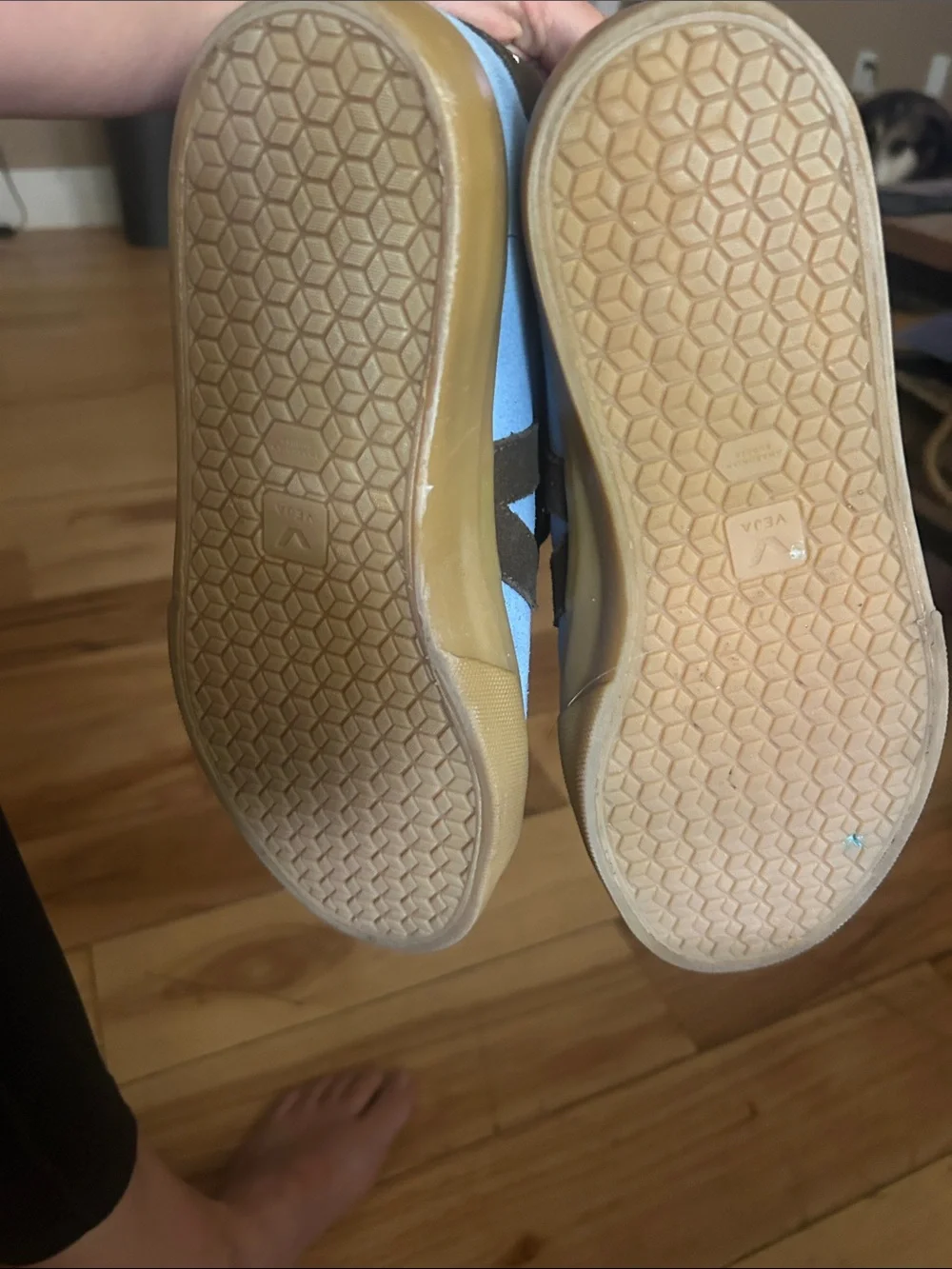 Women’s Veja Sneakers in Light Blue and Brown. SZ 40